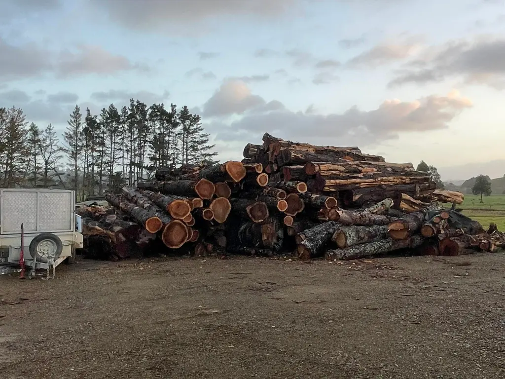 Treecycle-2