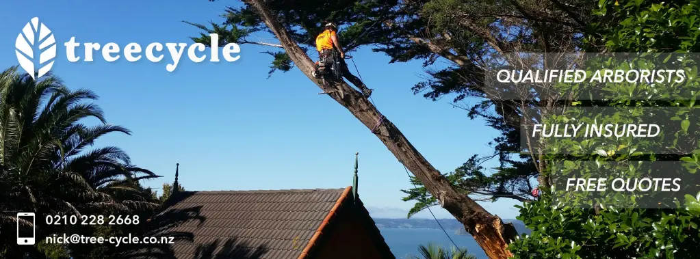 Treecycle-4