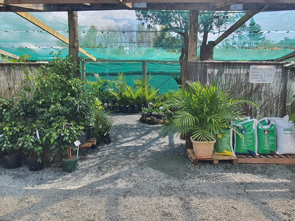 In 2 Plants