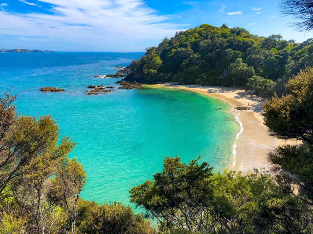 Whale Bay
