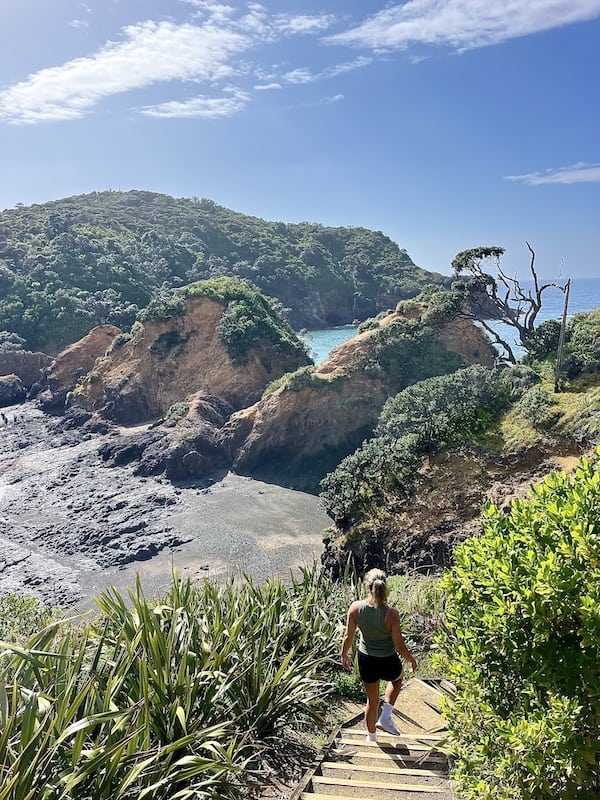 Tutukaka Lighthouse Walk