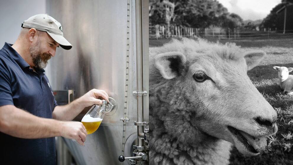 Heaven's Brewery