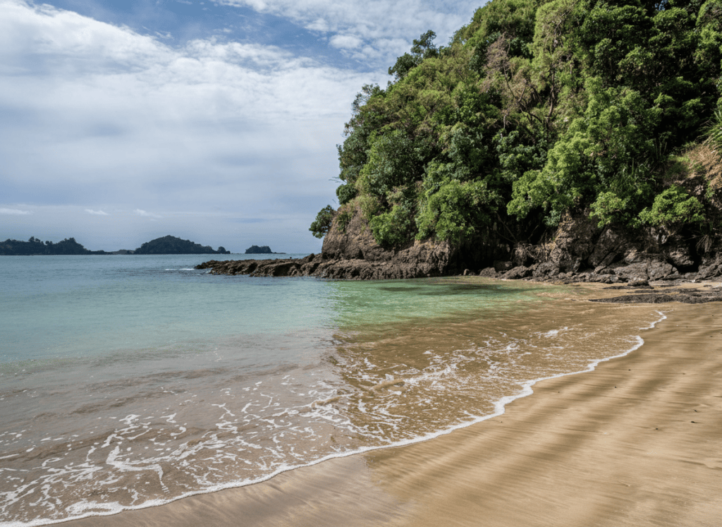 Tauwhara Bay, Whananaki