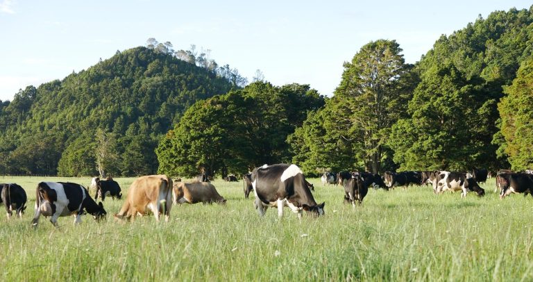 Bushview Farm