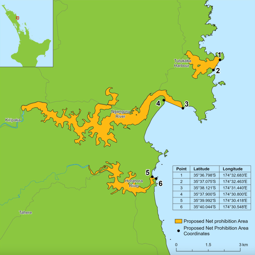 Consultation Open on Proposed Fisheries Closures – Tutukaka & Ngunguru