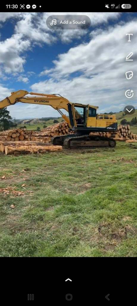 Laywood Logging