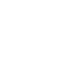website icon (1)